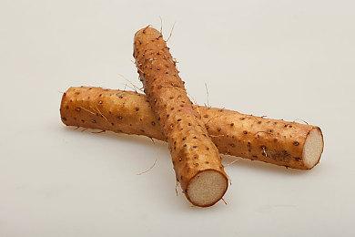 剧情驱动向农场模拟经营游戏《地球上的罗伯特》将于8月15日登陆Steam平台